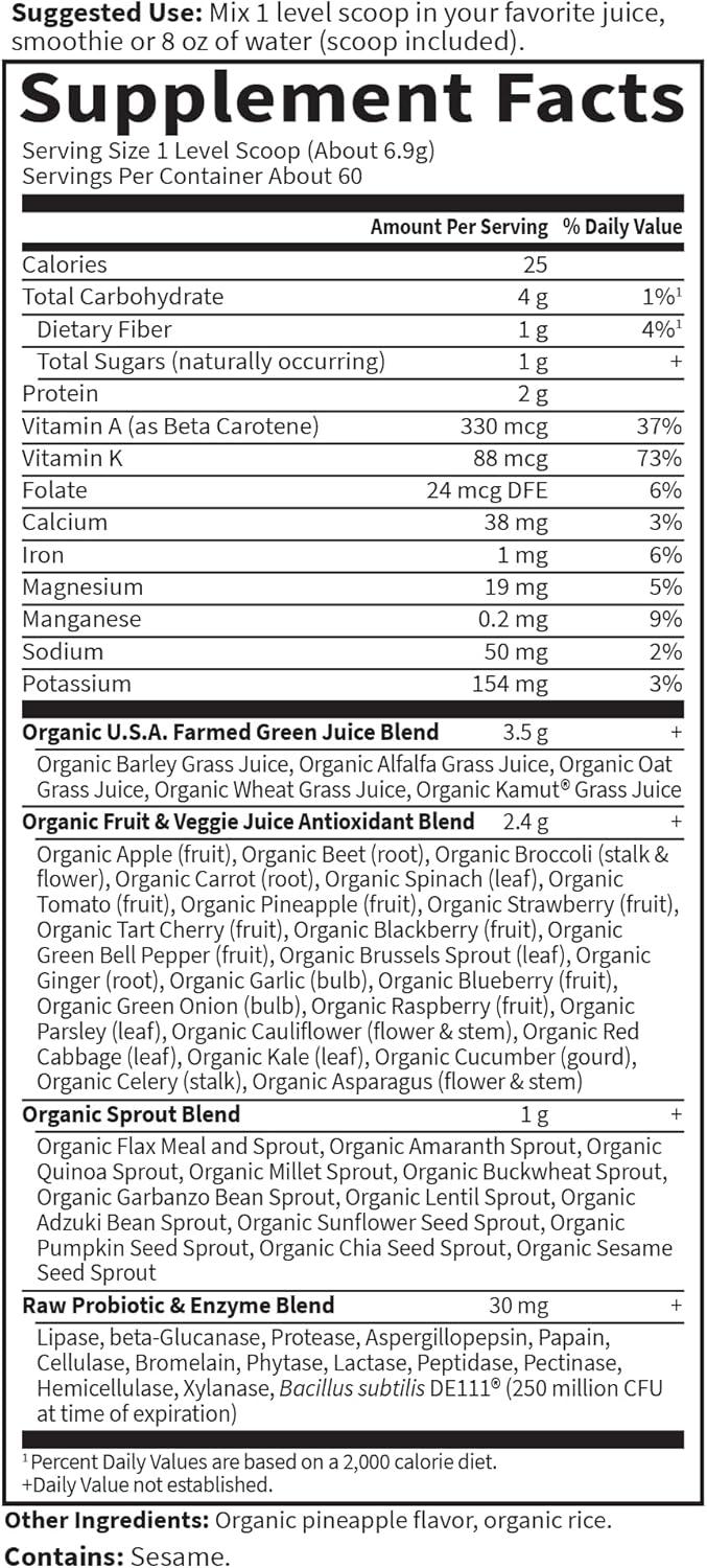 image:imageGarden of Life Raw Organic Perfect Food Green Superfood Juiced Greens Powder Original SteviaFree 30 Servings NonGMO Gluten Free Whole Food Dietary Supplement Alkalize Detoxify EnergizeOriginal