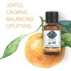 Garden of Life Essential Oil – Sweet Orange 0.5 fl oz (15mL), 100% USDA Organic & Pure, Clean, Undiluted & Non-GMO – for Diffuser, Aromatherapy, Meditation – Joyful, Calming, Balancing, Uplifting(0.5 Fl Oz (Pack of 1))