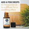Garden of Life Essential Oil, Frankincense 0.5 fl oz (15 mL), 100% USDA Organic & Pure, Clean, Undiluted & Non-GMO – for Diffuser, Aromatherapy, Meditation, Skincare – Calming, Uplifting, Soothing