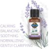 Garden of Life Essential Oil, Lavender 0.5 fl oz (15 mL), 100% USDA Organic & Pure, Clean, Undiluted & Non-GMO – for Diffuser, Aromatherapy, Meditation, Skincare, Sleep – Calming, Relaxing, Soothing(0.5 Fl Oz (Pack of 2))