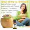 Garden of Life Essential Oil, Lemon 0.5 fl oz (15 mL), 100% USDA Organic & Pure, Clean, Undiluted & Non-GMO – for Diffuser, Aromatherapy, Meditation – Joyful, Aromatic, Calming, Refreshing