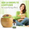 Garden of Life Essential Oil, Lemongrass 0.5 fl oz (15 mL), 100% USDA Organic & Pure, Clean, Undiluted & Non-GMO – for Diffuser, Aromatherapy, Meditation – Cleansing, Relaxing, Calming, Cleaning