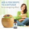 Garden of Life Essential Oil, Peppermint 0.5 fl oz (15 mL), 100% USDA Organic & Pure, Undiluted & Non-GMO – for Diffuser, Aromatherapy, Meditation – Energizing, Invigorating, Refreshing, Uplifting(Peppermint)