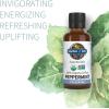 Garden of Life Essential Oil, Peppermint 0.5 fl oz (15 mL), 100% USDA Organic & Pure, Undiluted & Non-GMO – for Diffuser, Aromatherapy, Meditation – Energizing, Invigorating, Refreshing, Uplifting(Peppermint)
