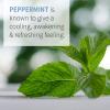 Garden of Life Essential Oil, Peppermint 0.5 fl oz (15 mL), 100% USDA Organic & Pure, Undiluted & Non-GMO – for Diffuser, Aromatherapy, Meditation – Energizing, Invigorating, Refreshing, Uplifting(Peppermint)