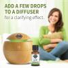 Garden of Life Essential Oil, Rosemary 0.5 fl oz (15 mL), 100% USDA Organic & Pure, Undiluted & Non-GMO – for Diffuser, Aromatherapy, Meditation – Energizing, Stimulating, Refreshing, Clarifying