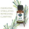Garden of Life Essential Oil, Rosemary 0.5 fl oz (15 mL), 100% USDA Organic & Pure, Undiluted & Non-GMO – for Diffuser, Aromatherapy, Meditation – Energizing, Stimulating, Refreshing, Clarifying