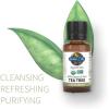 Garden of Life Essential Oil, Tea Tree 0.5 fl oz (15 mL), 100% USDA Organic & Pure, Clean, Undiluted & Non-GMO – for Diffuser, Aromatherapy, Medtiation – Cleansing, Refreshing, Purifying