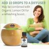 Garden of Life Essential Oils – 100% Organic & Pure Eucalyptus Essential Oil for Diffuser, Aromatherapy, Meditation – Clarity & Focus, Stimulate, Invigorate, Refresh, 0.5 fl oz(0.5 Fl Oz (Pack of 1))