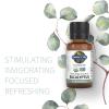 Garden of Life Essential Oils – 100% Organic & Pure Eucalyptus Essential Oil for Diffuser, Aromatherapy, Meditation – Clarity & Focus, Stimulate, Invigorate, Refresh, 0.5 fl oz(0.5 Fl Oz (Pack of 1))