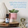 Garden of Life Essential Oils, 100% Organic & Pure Rosemary, Black Spruce & Fir Balsam Essential Oil – Breathe Blend for Diffusers, Home, Skin & Body Care, Clarifying, Clearing, Focusing, 0.5 fl oz