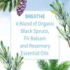 Garden of Life Essential Oils, 100% Organic & Pure Rosemary, Black Spruce & Fir Balsam Essential Oil – Breathe Blend for Diffusers, Home, Skin & Body Care, Clarifying, Clearing, Focusing, 0.5 fl oz
