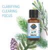 Garden of Life Essential Oils, 100% Organic & Pure Rosemary, Black Spruce & Fir Balsam Essential Oil – Breathe Blend for Diffusers, Home, Skin & Body Care, Clarifying, Clearing, Focusing, 0.5 fl oz