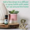 Garden of Life Essential Oils, 100% Organic and Pure Lavender Essential Oil Plus Chamomile & Fir Balsam – Calm Blend for Diffusers, Home, Skin & Body Care, Calming, Relaxing, Soothing, 0.5 fl oz