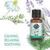 Garden of Life Essential Oils, 100% Organic and Pure Lavender Essential Oil Plus Chamomile & Fir Balsam – Calm Blend for Diffusers, Home, Skin & Body Care, Calming, Relaxing, Soothing, 0.5 fl oz