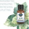 Garden of Life Essential Oils Starter Pack (Lavender, Peppermint, Lemon, Tea Tree) 2 fl oz Liquid (60 mL) – Set of 4-0.5 fl oz Bottles, 100% USDA Organic & Pure, Non-GMO, for Diffuser, Aromatherapy