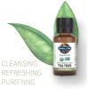Garden of Life Essential Oils Starter Pack (Lavender, Peppermint, Lemon, Tea Tree) 2 fl oz Liquid (60 mL) – Set of 4-0.5 fl oz Bottles, 100% USDA Organic & Pure, Non-GMO, for Diffuser, Aromatherapy