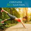 Garden of Life Fucoxanthin Supplements – FucoThin Diet Pill for Weight Loss, 90 Count(Unflavored)