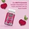 Garden of Life Organic Beet Root Gummies Made from Pectin with Antioxidants, Vitamin C, Vitamin D & B12 for Heart Health & Energy – BEETS Gummies – Vegan, Gluten Free, Non GMO, Raspberry, 30 Servings