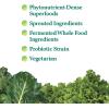 Garden of Life Perfect Food Super Green Formula – 14 Servings | 45 Superfoods, Greens, Fruit & Veggie Juice Superfood Powder Supplement, Probiotics & Organic Spirulina for Digestion & Immune Health(Greens Fruit Veggie)