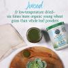 Garden of Life Raw Organic Perfect Food 100% Organic USA Wheat Grass Juice – Juiced Green Superfood Greens Powder, 60 Servings – Stevia-Free, Non-GMO, Vegan, Gluten Free Whole Food Dietary Supplement