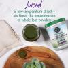 Garden of Life Raw Organic Perfect Food Alkalizer and Detoxifier, Lemon Ginger Flavored Superfood Powder Supplement, 30 Servings(Lemon and ginger)