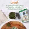 Garden of Life Raw Organic Perfect Food Energizer Juiced Green Superfood Powder – Yerba Mate Pomegranate, 30 Servings, Green Superfood Powder & Probiotics, Gluten Free Whole Food Greens Supplements(10 Ounce (Pack of 1))