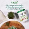 Garden of Life Raw Organic Perfect Food Green Superfood Juiced Greens Powder – Original Stevia-Free, 30 Servings, Non-GMO, Gluten Free Whole Food Dietary Supplement, Alkalize, Detoxify, Energize(Apple)