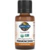 Garden of Life Essential Oil, Frankincense 0.5 fl oz (15 mL), 100% USDA Organic & Pure, Clean, Undiluted & Non-GMO – for Diffuser, Aromatherapy, Meditation, Skincare – Calming, Uplifting, Soothing