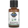Garden of Life Essential Oils – 100% Organic & Pure Eucalyptus Essential Oil for Diffuser, Aromatherapy, Meditation – Clarity & Focus, Stimulate, Invigorate, Refresh, 0.5 fl oz(0.5 Fl Oz (Pack of 1))