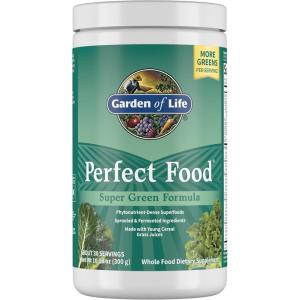 Garden of Life Perfect Food Super Green Formula – 14 Servings | 45 Superfoods, Greens, Fruit & Veggie Juice Superfood Powder Supplement, Probiotics & Organic Spirulina for Digestion & Immune Health(Greens Fruit Veggie)