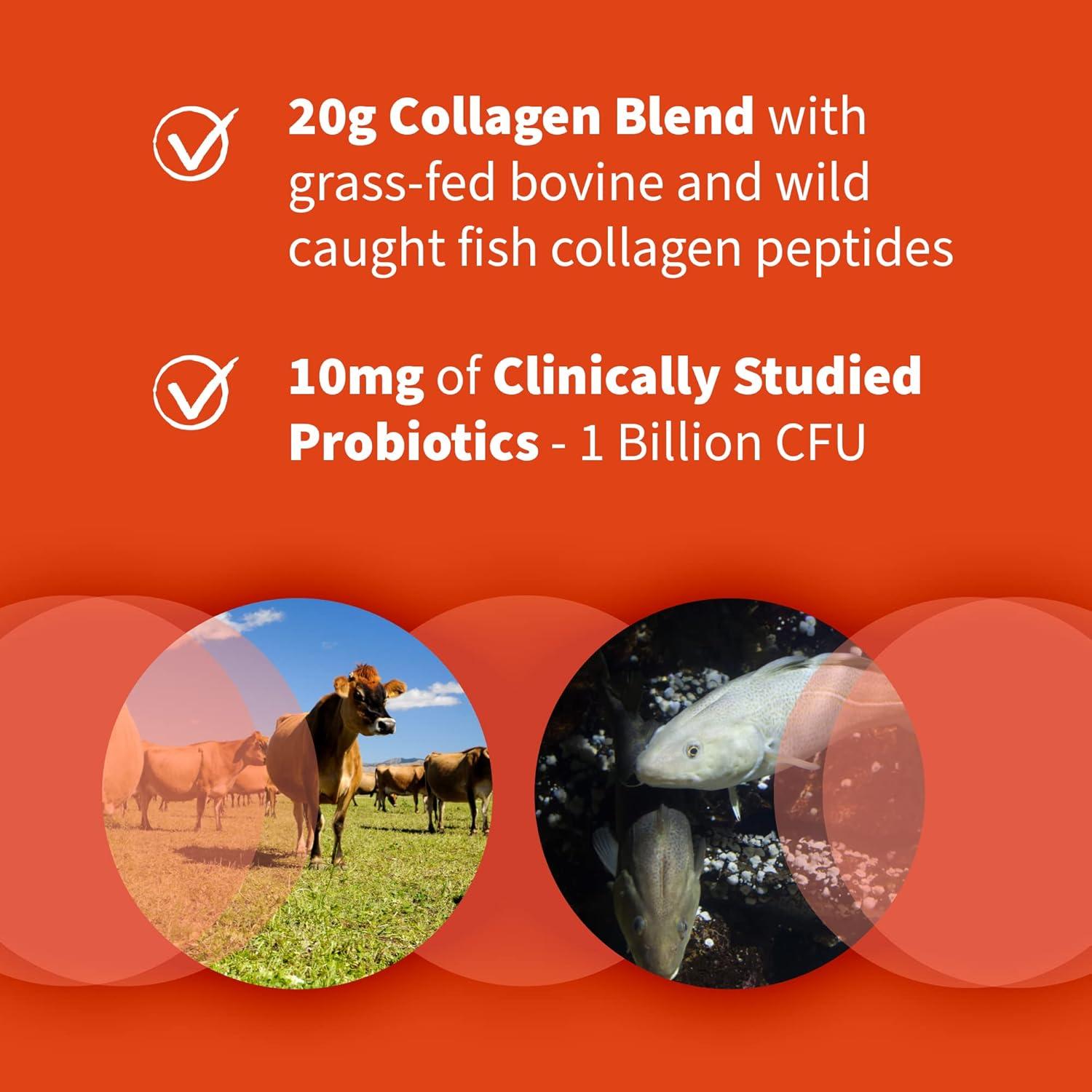 image:imageGarden of Life Collagen Bundle Grass Fed Peptides Unflavored 14 Servings Collagen Turmeric Apple Cinnamon 20 Servings MultiSourced Collagen Unflavored Powder 12 Scoops Hair Skin Nails Joints