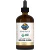 Garden of Life Jojoba Oil 100% Organic & Pure Golden Jojoba Oil for Hair, Skin and Face – Cold Pressed Body Oil, Massage, or Use as a Carrier Oil for Making Lip Balms & Body Butters, 4 fl