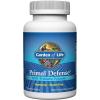 Garden of Life Primal Defense HSO Probiotic Formula – Vegetarian Blend of 12 Probiotics for Gastrointestinal Balance – Acidophilus, Lacto and Bifido Strains, Gluten Free – 90 Caplets